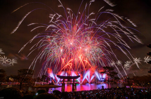 Epcot - New Year's Eve 2014