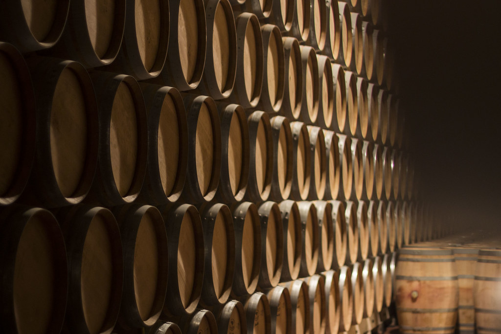 Visita de La Cata con Botas a las bodegas Dominio de Cair, Luis Cañas y Amaren